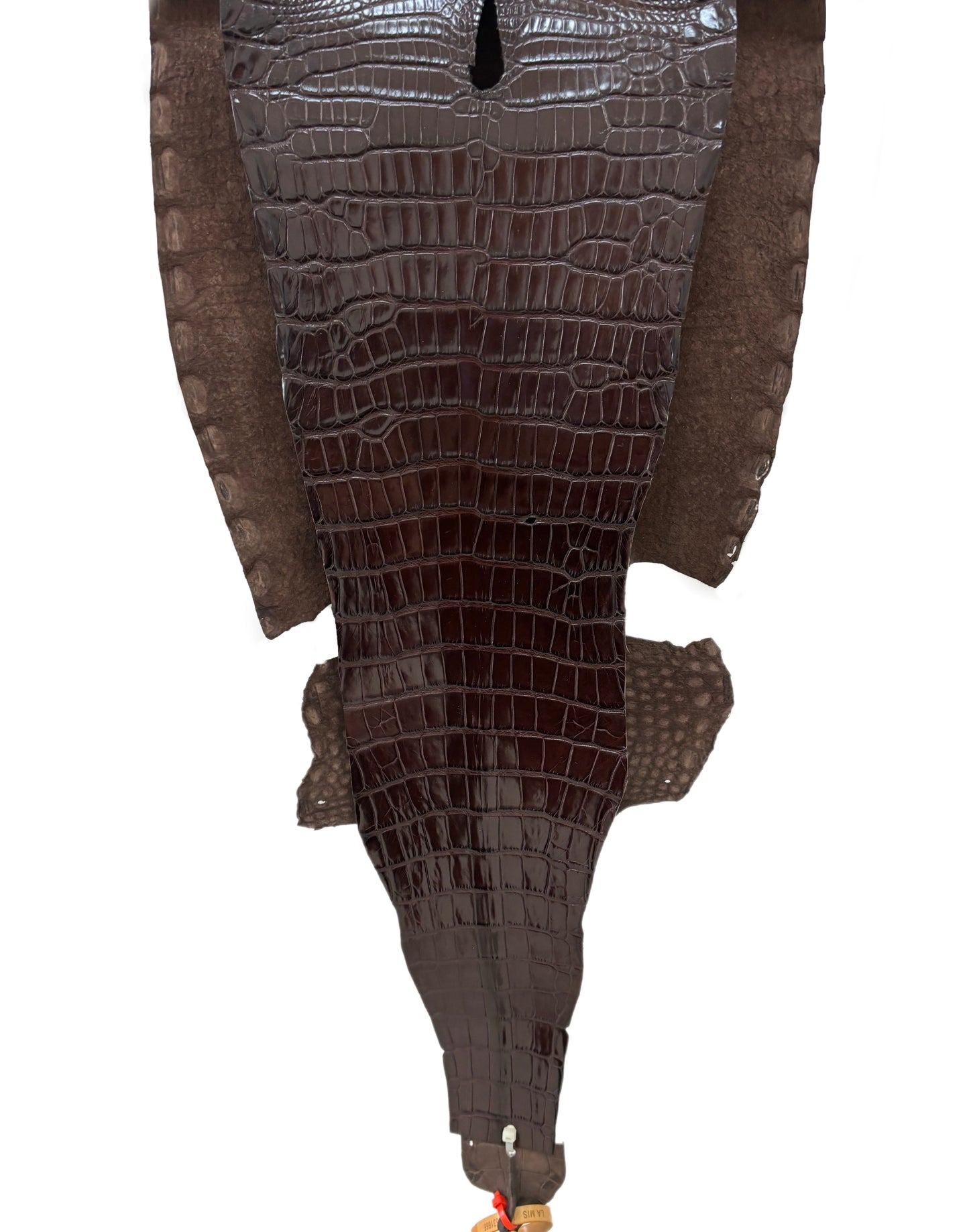 32 cm Grade 1/2 Chocolate Millennium Farm Raised American Alligator Leather - Tag: LA23-0531666