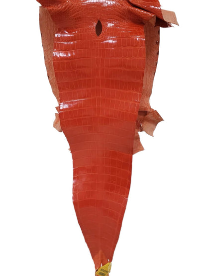 32 cm Grade 2/3 Mandarina Glazed Farm-Raised American Alligator Leather - Tag: GA13-0020606