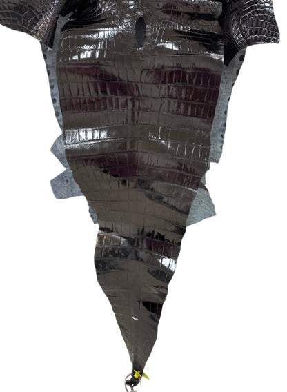 47 cm Grade 2/3 Black Glazed Farm-Raised American Alligator Leather - Tag: FL14-0004004