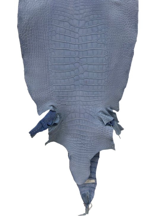 43 cm Grade 3/4 Carolina Blue Matte Wild American Alligator Leather - Tag: LA23-0048537