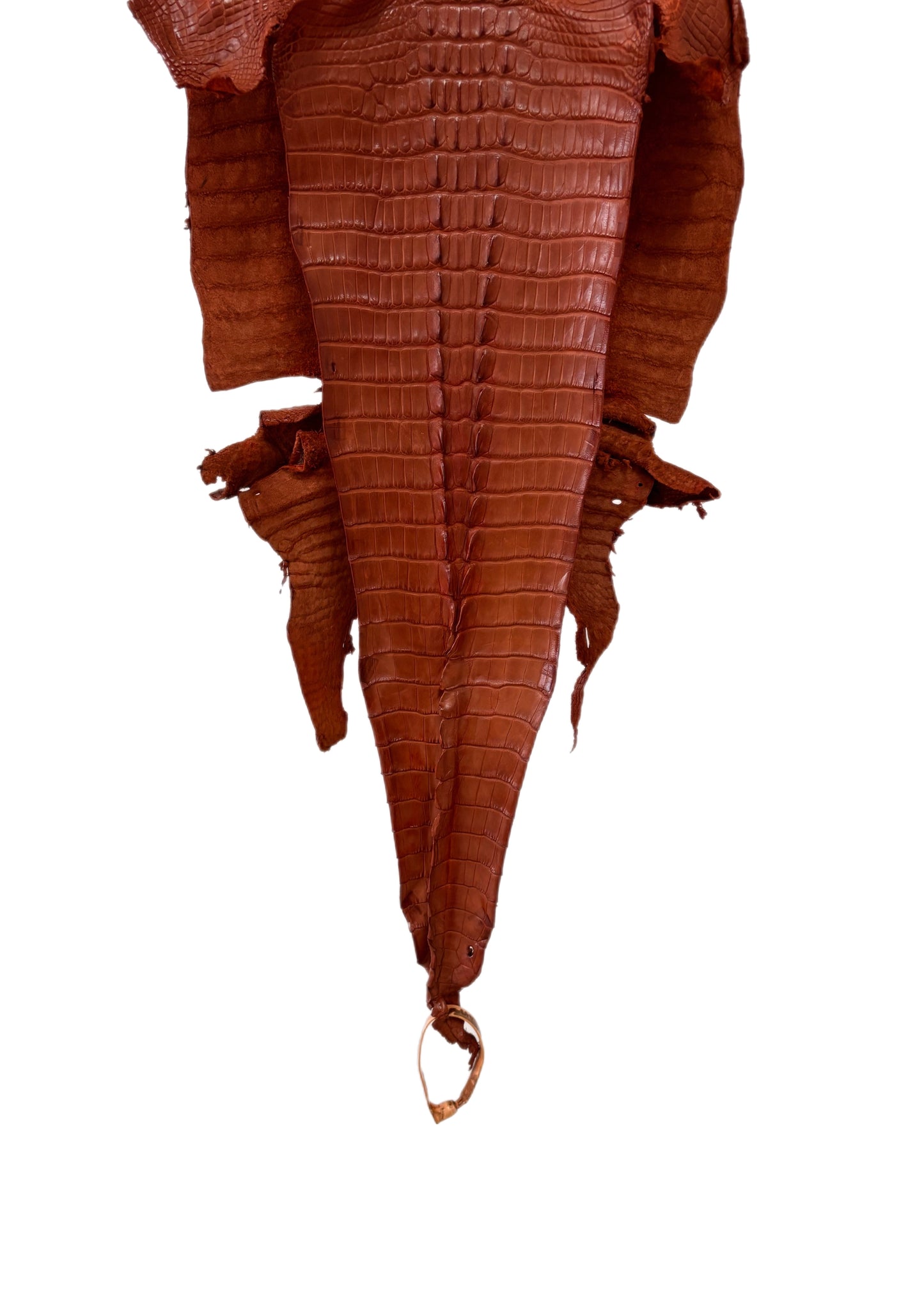 31 cm Grade 1/2 Cognac Matte Farm-Raised American Alligator Hornback Leather - Tag: LA23-0377144