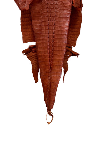 31 cm Grade 1/2 Cognac Matte Farm-Raised American Alligator Hornback Leather - Tag: LA23-0377144