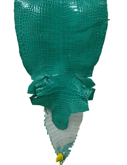 32 cm Grade 1/2 Tiffany Blue Classic Farm-Raised American Alligator Leather - Tag: GA13-0020305