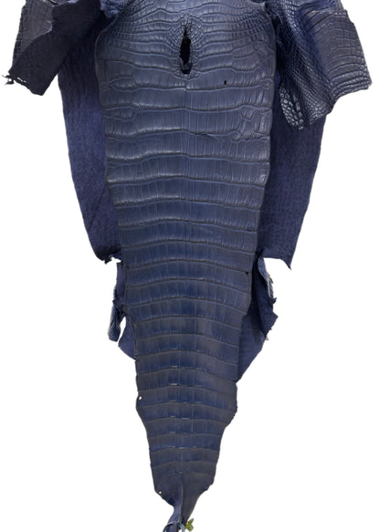 38 cm Grade 1/2 Navy Blue Desert Wild American Alligator Leather - Tag: LA17-0037248