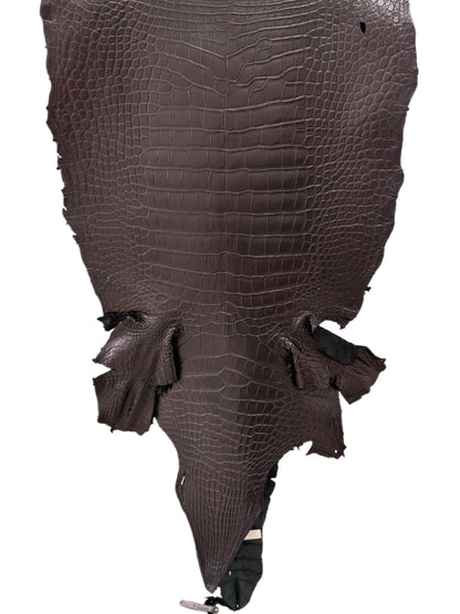 51 cm Grade 2/3 Black Matte Wild American Alligator Leather - Tag: LA23-0004637