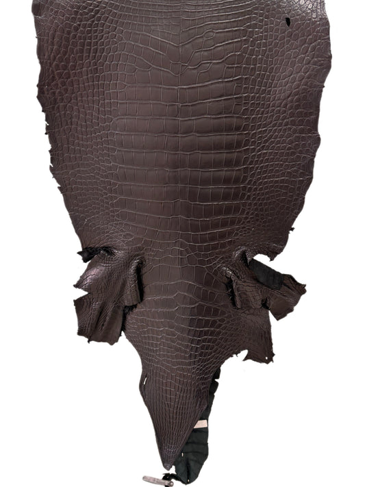 51 cm Grade 2/3 Black Matte Wild American Alligator Leather - Tag: LA23-0004637