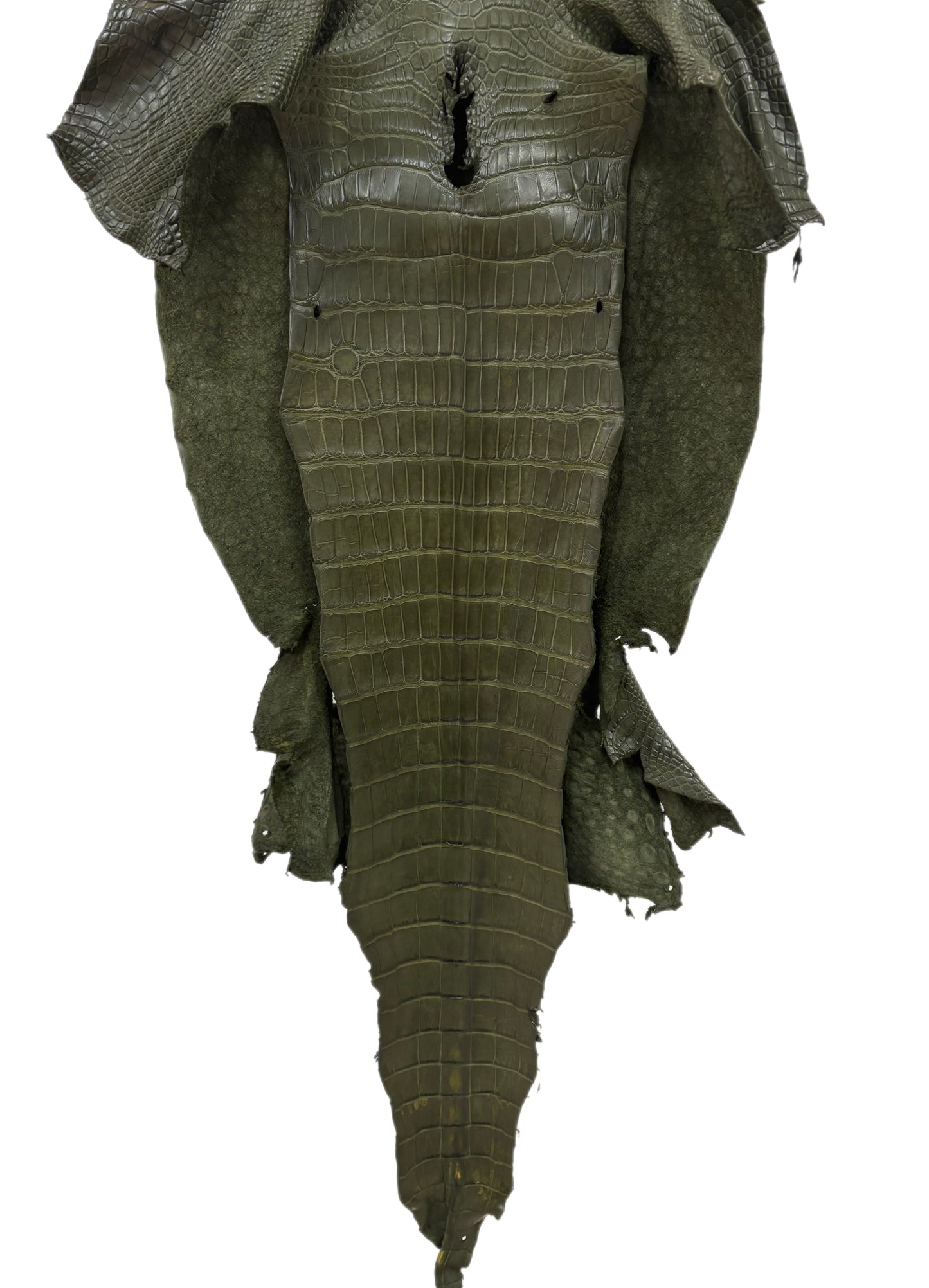 41 cm Grade 3/4 Olive Matte Wild American Alligator Leather - Tag: LA23-0013901