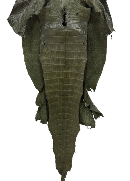 41 cm Grade 3/4 Olive Matte Wild American Alligator Leather - Tag: LA23-0013901