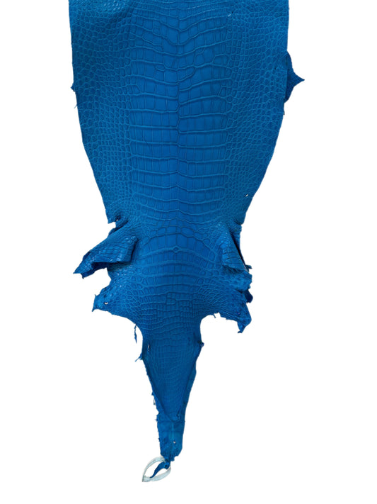 31 cm Grade 2/3 Ultramarine Matte Wild American Alligator Leather - Tag: LA23-0019776