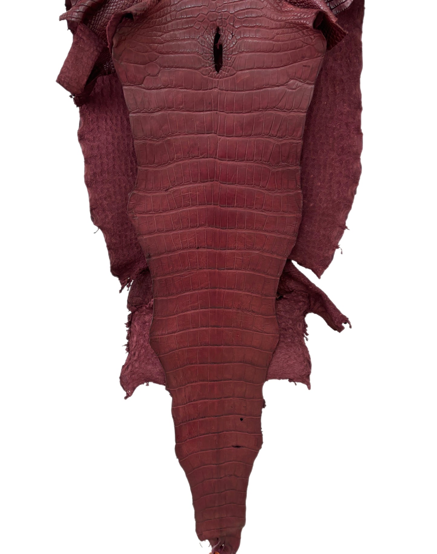41 cm Grade 3/4 Bordeaux Matte Wild American Alligator Leather - Tag: LA22-0004760