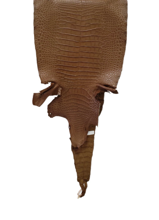 33 cm Grade 2/3 Kango Tabac Matte Farm-Raised American Alligator Leather - Tag: FL17-0036255