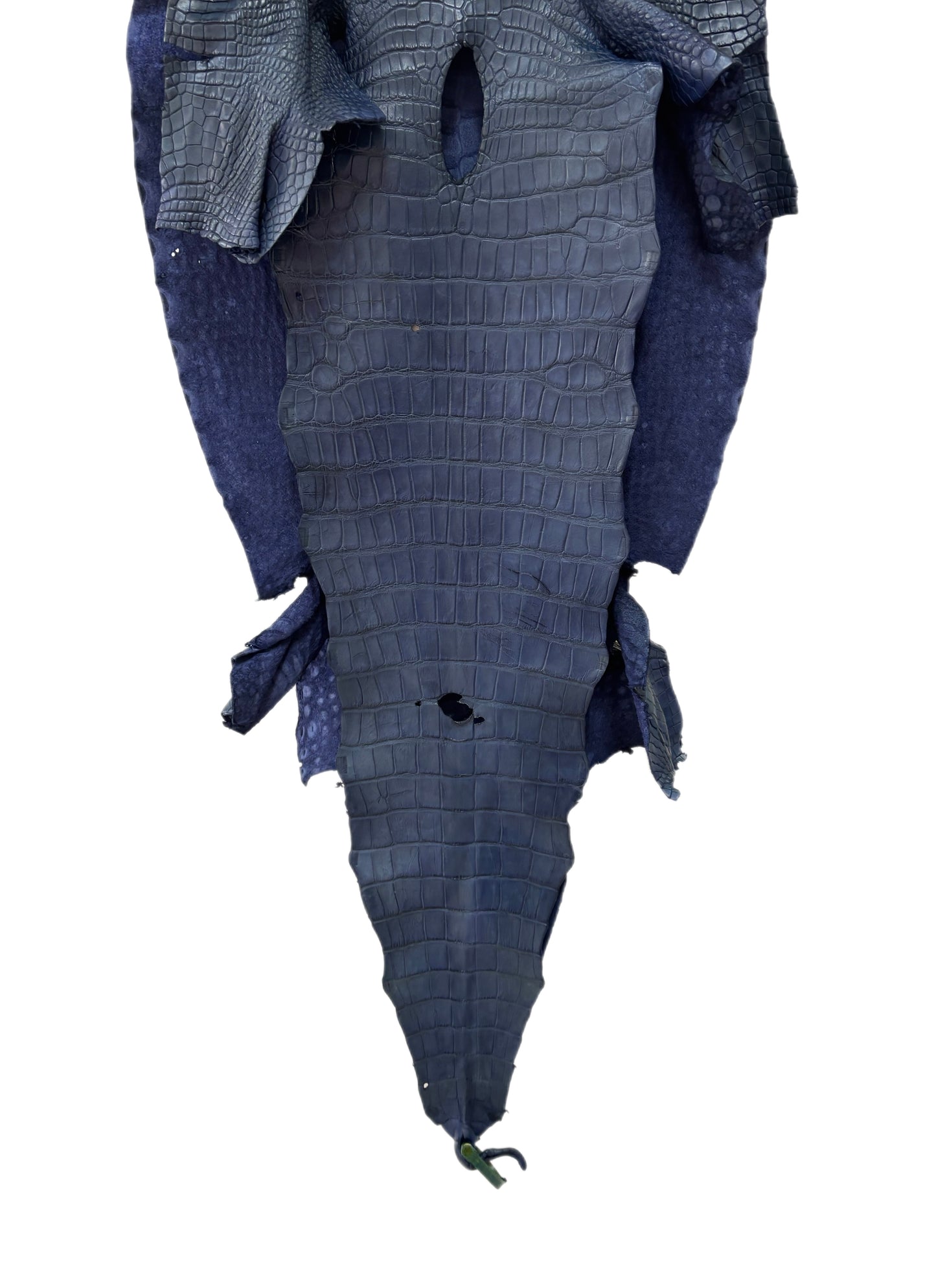 49 cm Grade 3/4 Indigo Matte Wild American Alligator Leather - Tag: LA25-0038443