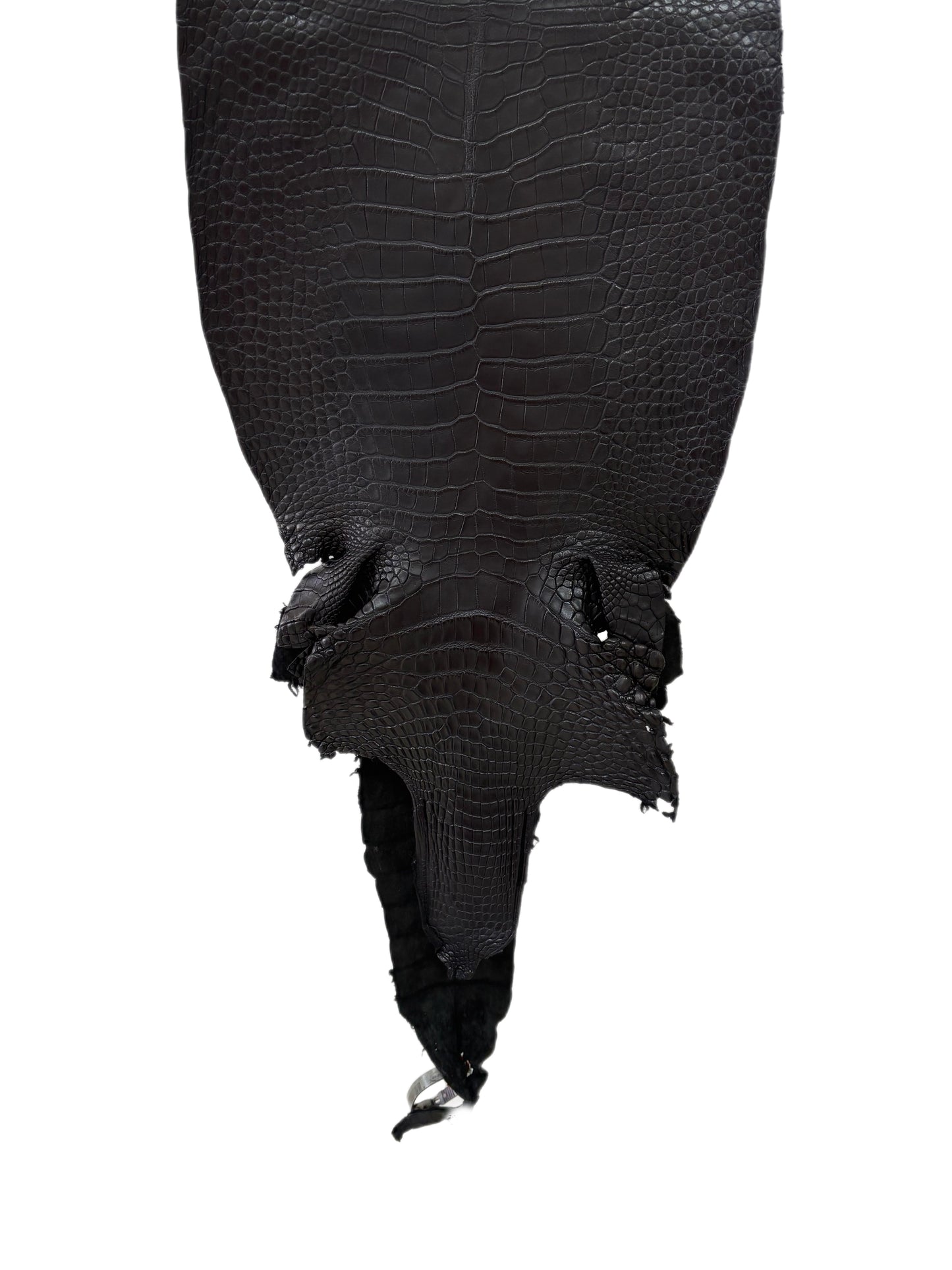 32 cm Grade 1/2 Black Matte Farm-Raised American Alligator Leather - Tag: LA23-0531507