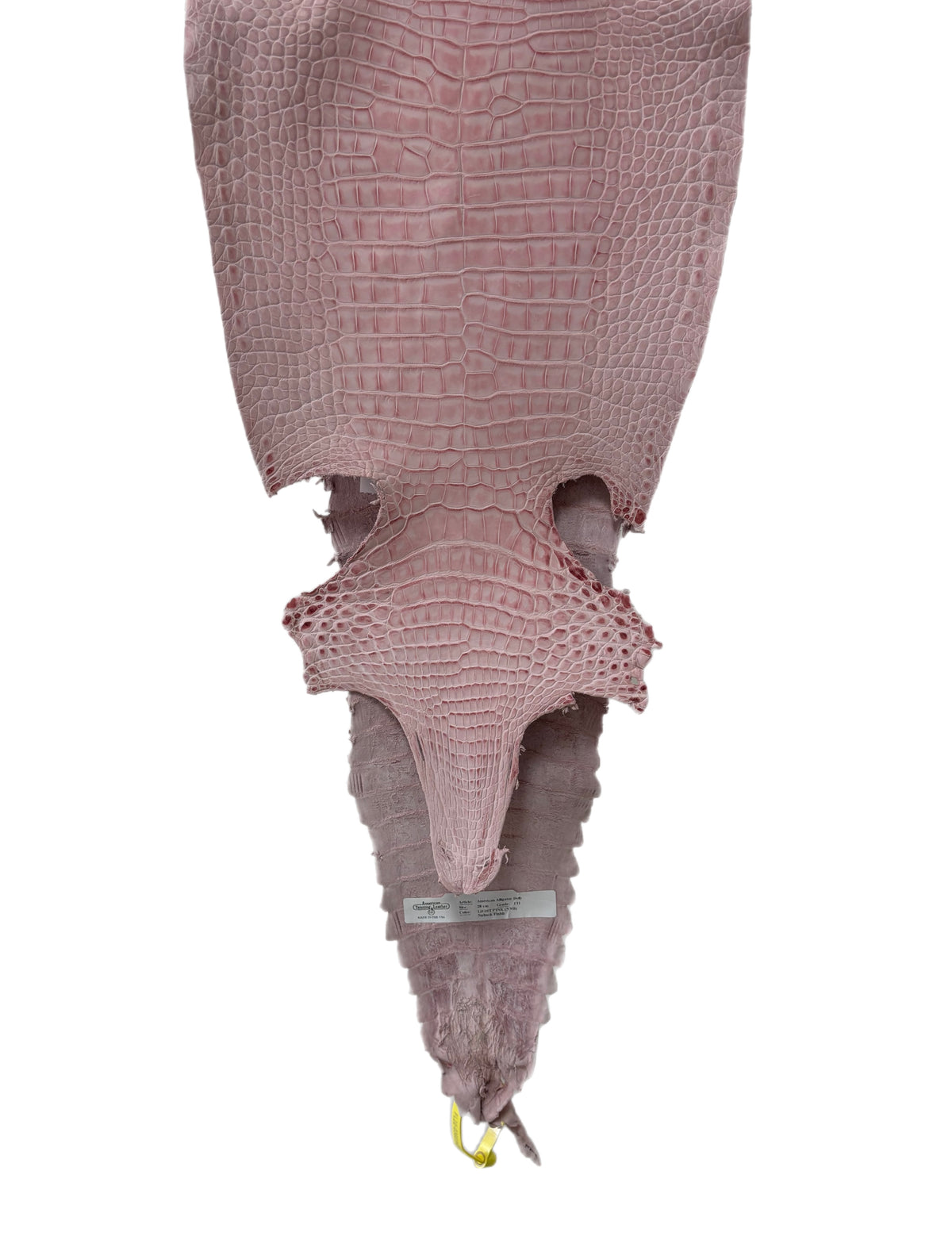 New Color and Finish! 28 cm Grade 1/2 Light Pink Nubuck Farm-Raised American Alligator Leather - Tag: FL22-0030234