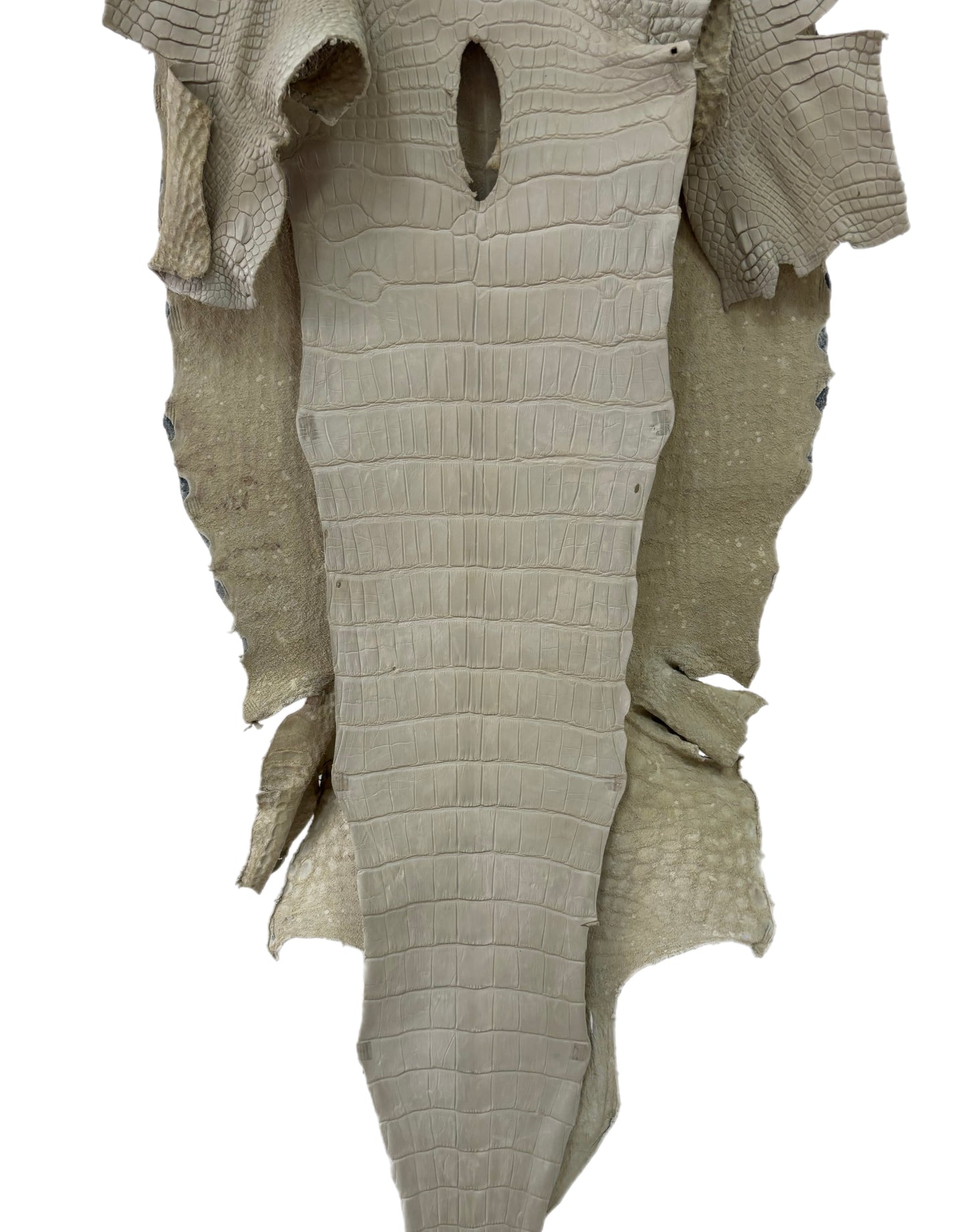47 cm Grade 2/3 Dune Matte Wild American Alligator Leather - Tag: LA23-0020500