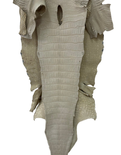 47 cm Grade 2/3 Dune Matte Wild American Alligator Leather - Tag: LA23-0020500