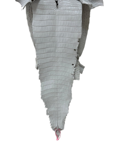 36 cm Grade 2/3 White Matte Farm-Raised American Alligator Leather - Tag: FL21-0024377