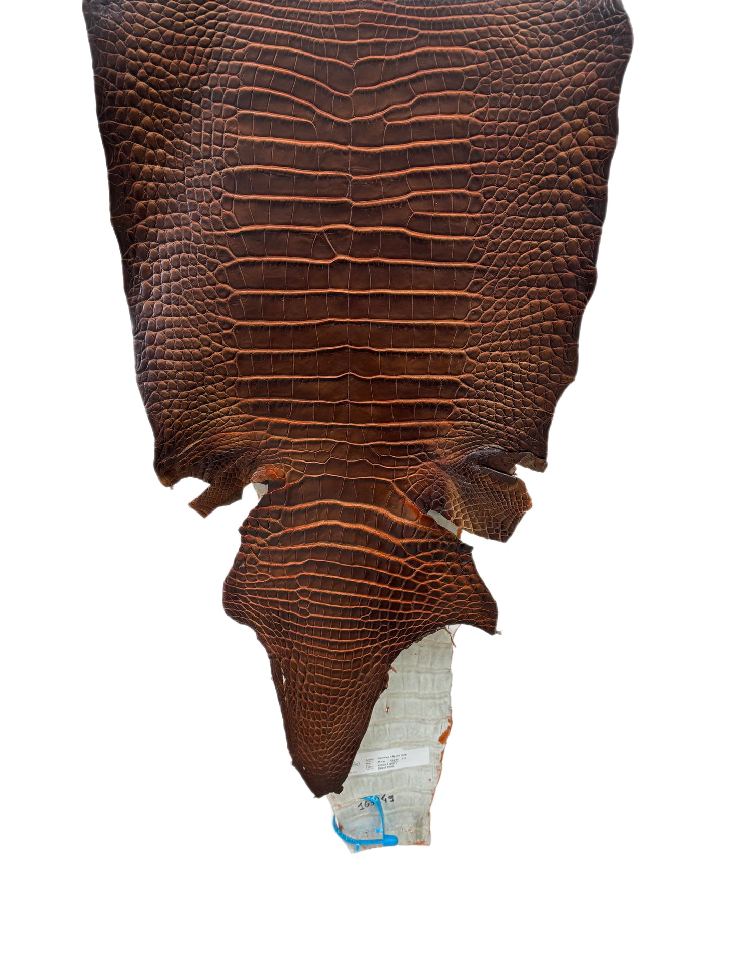 38 cm Grade 1/2 Sienna Matte Wild American Alligator Leather - Tag: ESRE-0050819