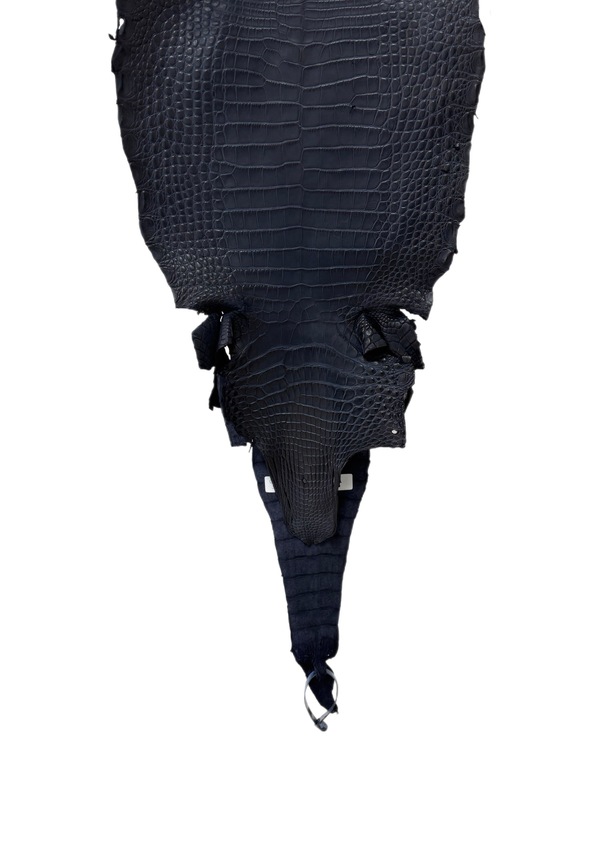 31 cm Grade 3/4 Navy Blue Matte Farm-Raised American Alligator Leather - Tag: FL17-0035550