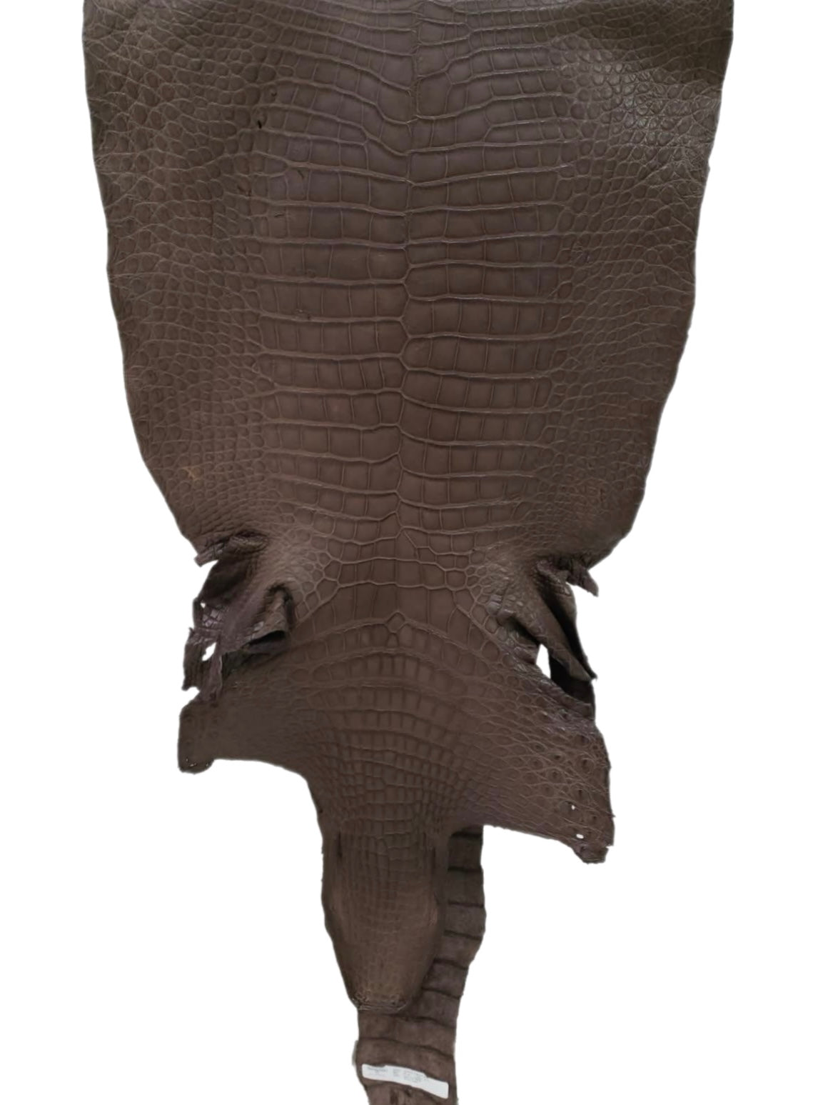 50 cm Grade 4/5 Miller Matte Wild American Alligator Leather - Tag: LA24-0031490
