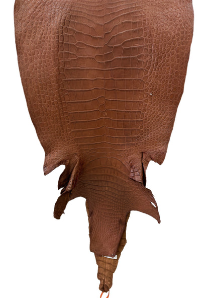49 cm Grade 4/5 Cigar Matte Wild American Alligator Leather - Tag: LA24-0048921