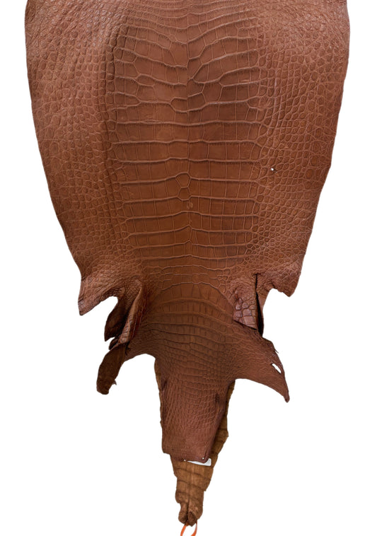 49 cm Grade 4/5 Cigar Matte Wild American Alligator Leather - Tag: LA24-0048921
