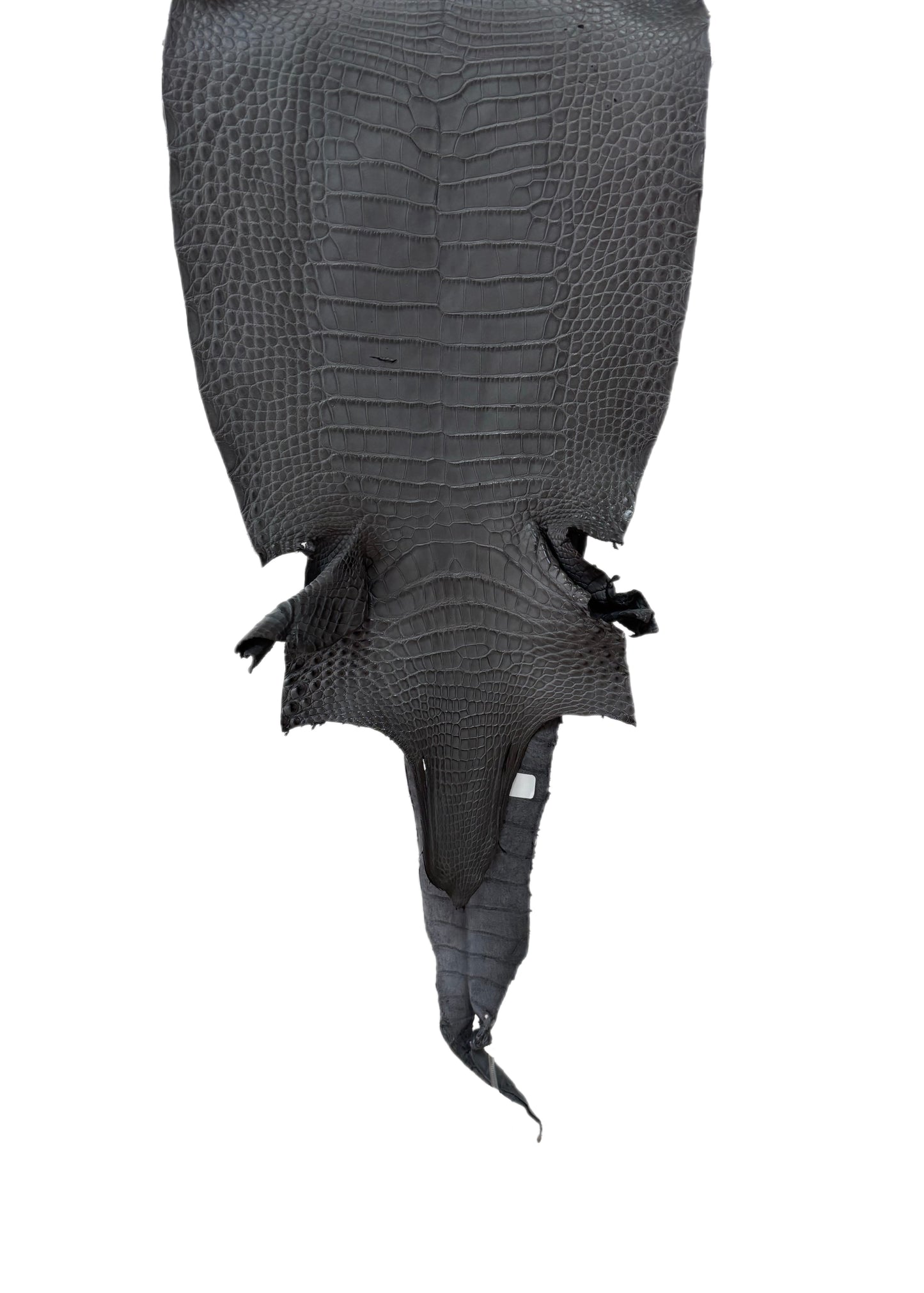 27 cm Grade 3/4 Serpentine Grey Matte Farm-Raised American Alligator Leather - Tag: LA17-0133993