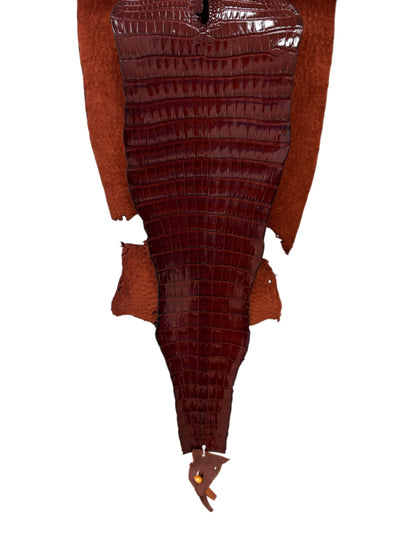 33 cm Grade 1/2 Bourbon Millennium Farm-Raised American Alligator Leather - Tag: FL17-0036371