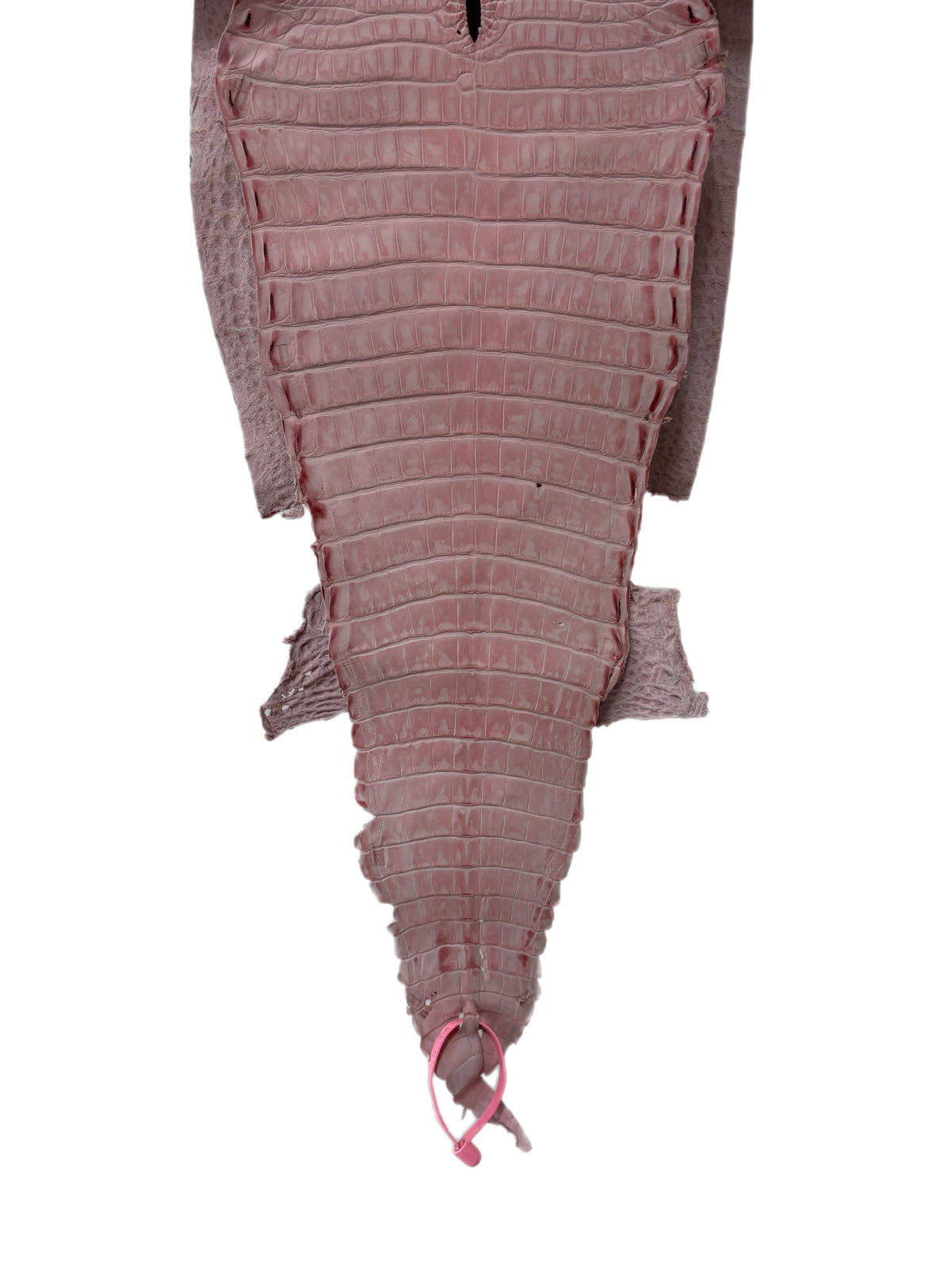 New Color and Finish! 27 cm Grade 1/2 Light Pink Nubuck Farm-Raised American Alligator Leather - Tag: FL21-0024669