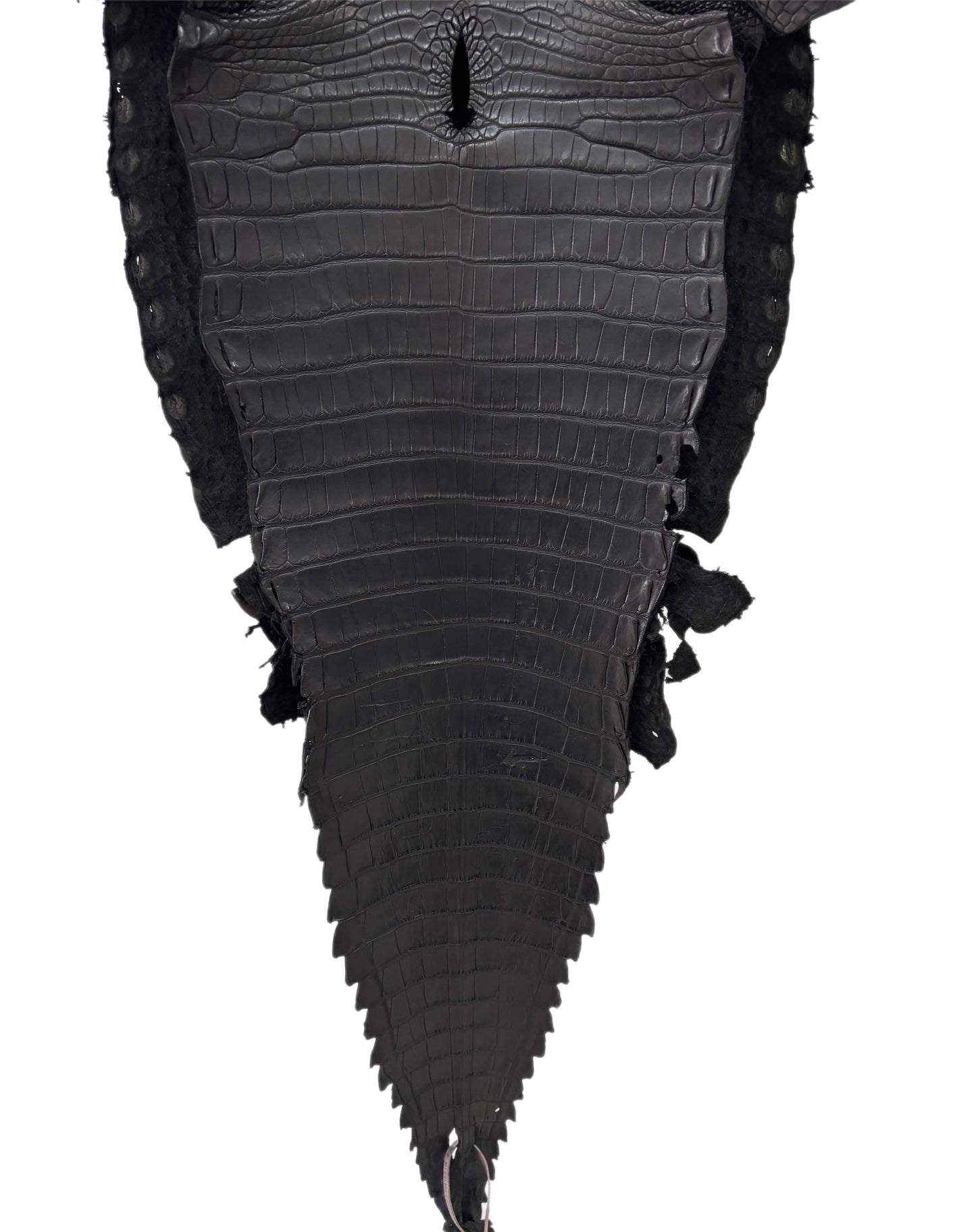 37 cm Grade 1/2 Black Matte Farm-Raised American Alligator Leather - Tag: FL18-0052119