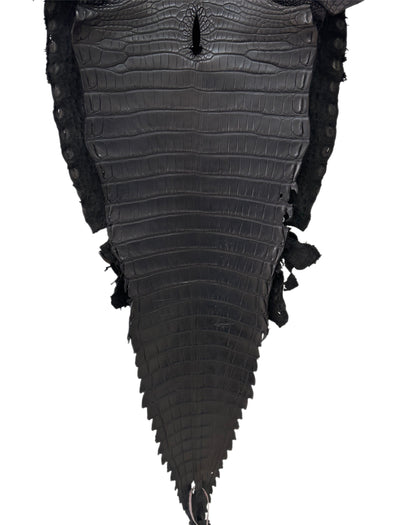37 cm Grade 1/2 Black Matte Farm-Raised American Alligator Leather - Tag: FL18-0052119