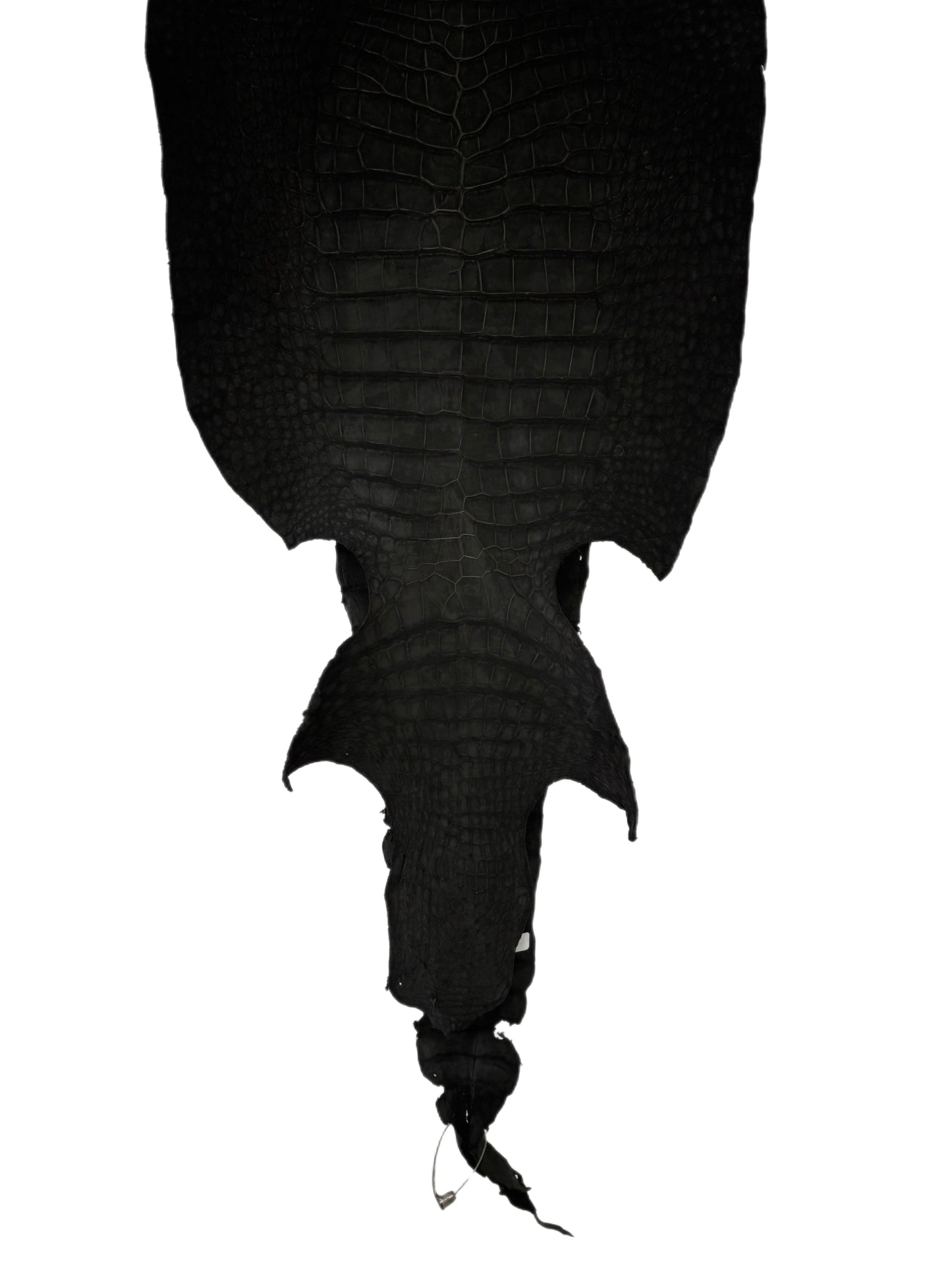 42 cm Grade 3/4 Black Nubuck Wild American Alligator Leather - Tag: LA23-0001392
