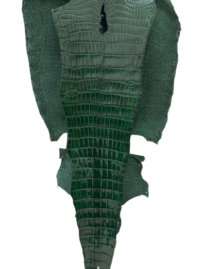 39 cm Grade 1/2 Forest Green Millennium Wild American Alligator Leather - Tag: LA16-0036569