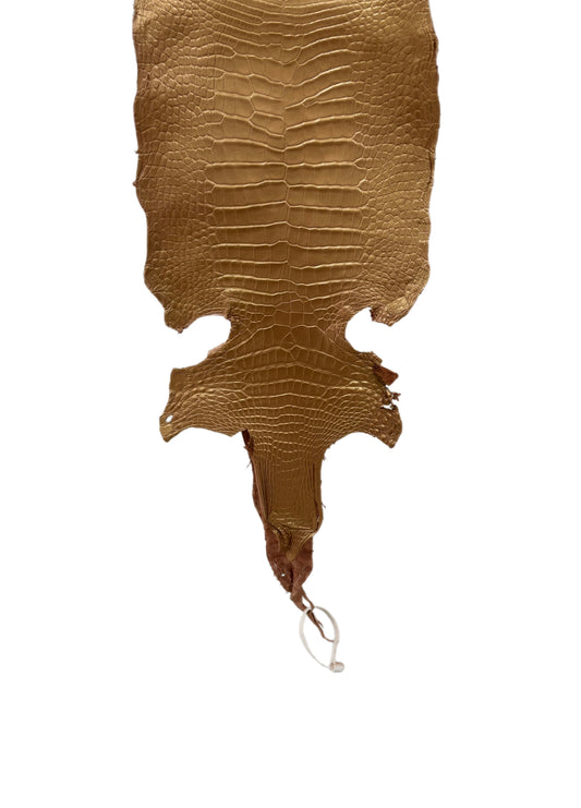 24 cm Grade 2/3 Champagne Metallic Matte Wild American Alligator Leather - Tag: LA17-0034587