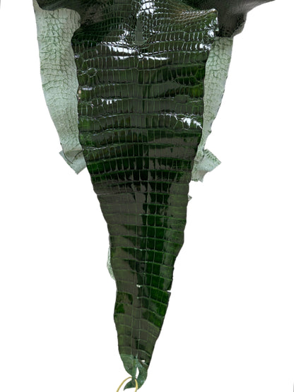 40 cm Grade 2/3 Forest Green Glazed Wild American Alligator Leather - Tag: LA16-0014238