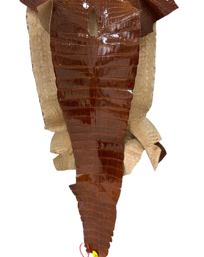 43 cm Grade 2/3 Cognac Glazed Wild American Alligator Leather - Tag: ITCC-0539962
