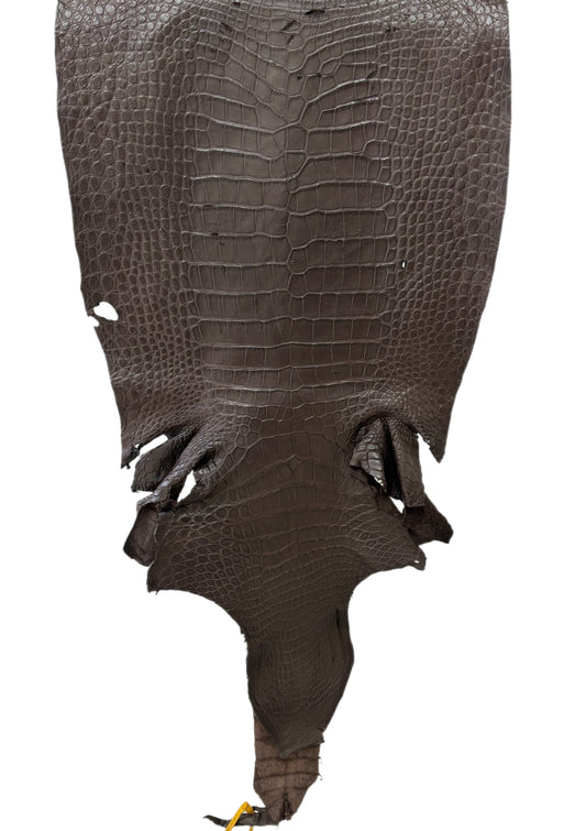 47 cm Grade 4/5 Kralle Brown Matte Wild American Alligator Leather - Tag: LA25-0002046
