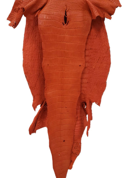 45 cm Grade 2/3 Orange Matte Wild American Alligator Leather - Tag: LA23-0026960