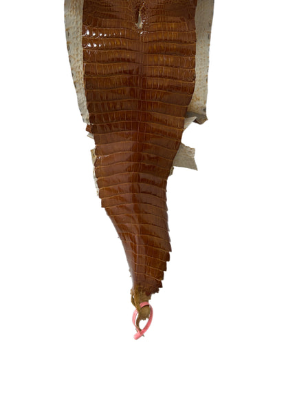 24 cm Grade 1/2 Cognac Glazed Farm-Raised American Alligator Leather - Tag: FL21-0024407