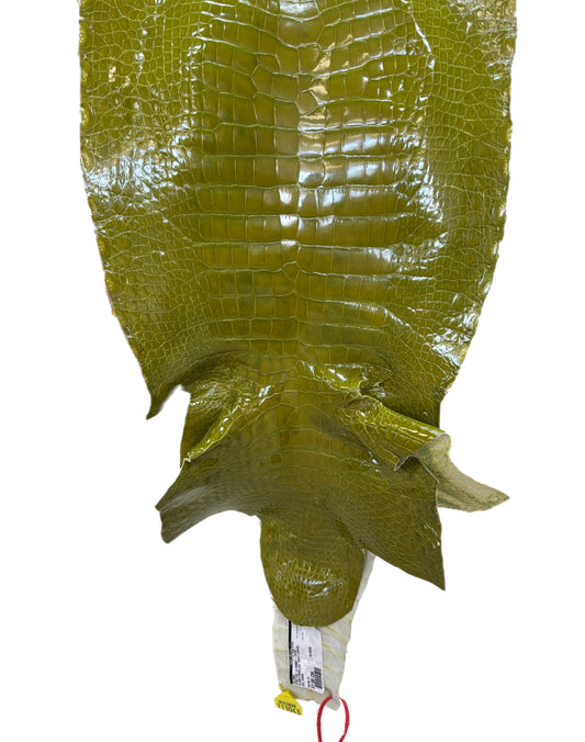 CLOSEOUT | 36 cm Grade 2/3 Muguet Glazed Wild American Alligator Leather - Tag: CCIT-0539922