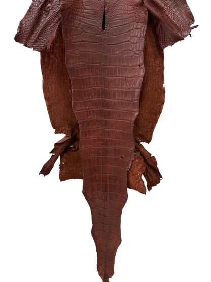 40 cm Grade 2/3 Italian Gold Matte Wild American Alligator Leather - Tag: LA24-0039672