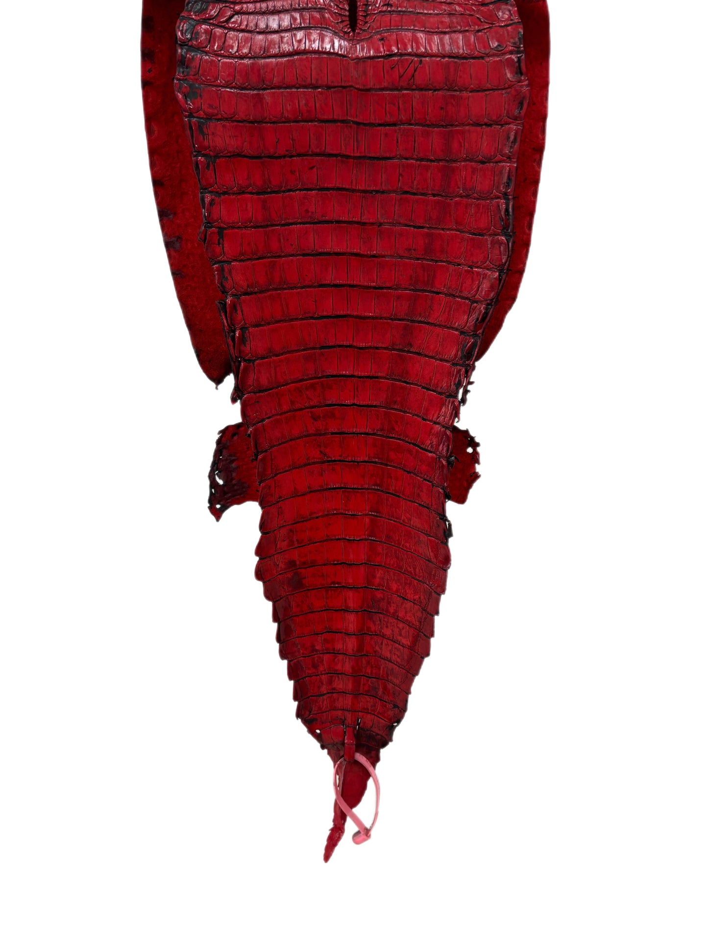 28 cm Grade 4/5 Candy Apple Red Antique Farm-raised American Alligator Leather - Tag: FL21-0024061