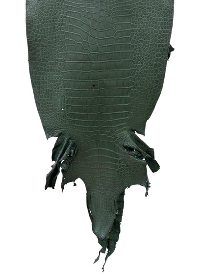 44 cm Grade 2/3 Forest Green Matte Wild American Alligator Leather - Tag: LA23-0013684