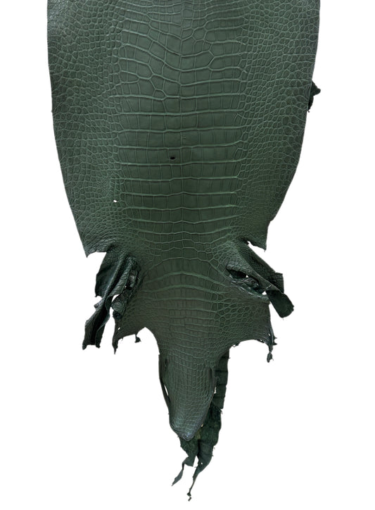 44 cm Grade 2/3 Forest Green Matte Wild American Alligator Leather - Tag: LA23-0013684