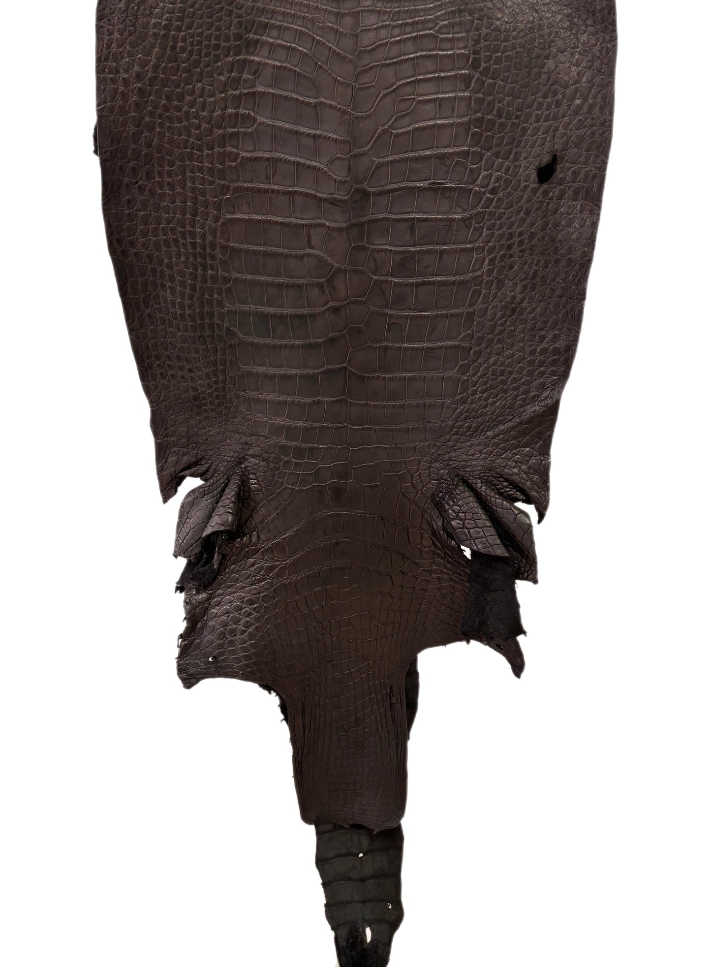 40 cm Grade 4/5 Black Matte Wild American Alligator Leather - Tag: LA23-0013695