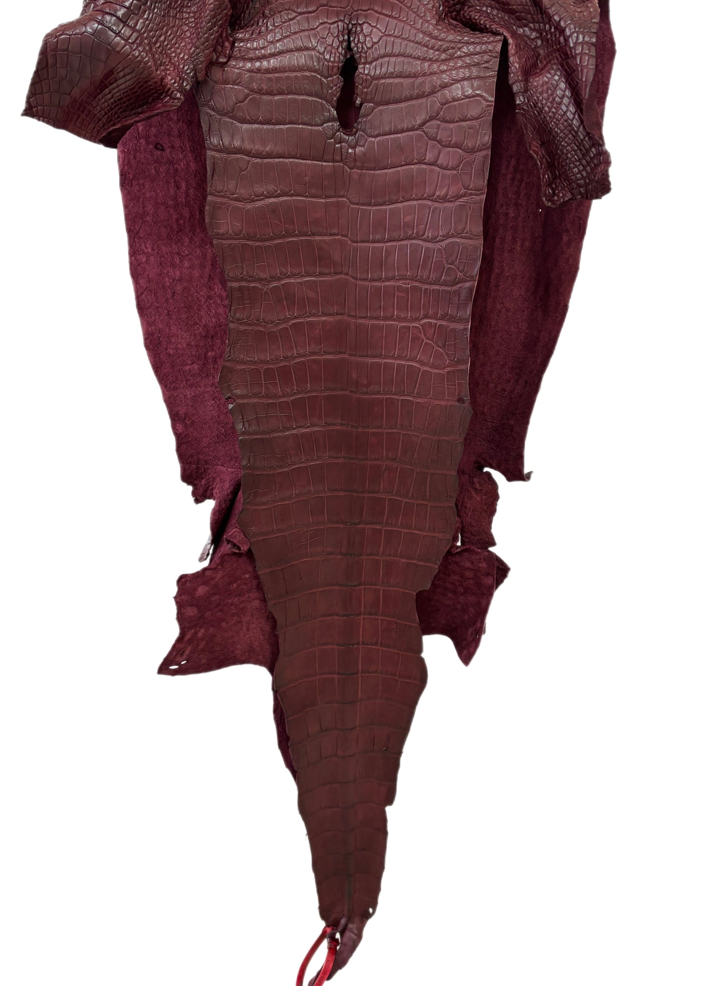 43 cm Grade 3/4 Bordeaux Matte Wild American Alligator Leather - Tag: LA24-0037229