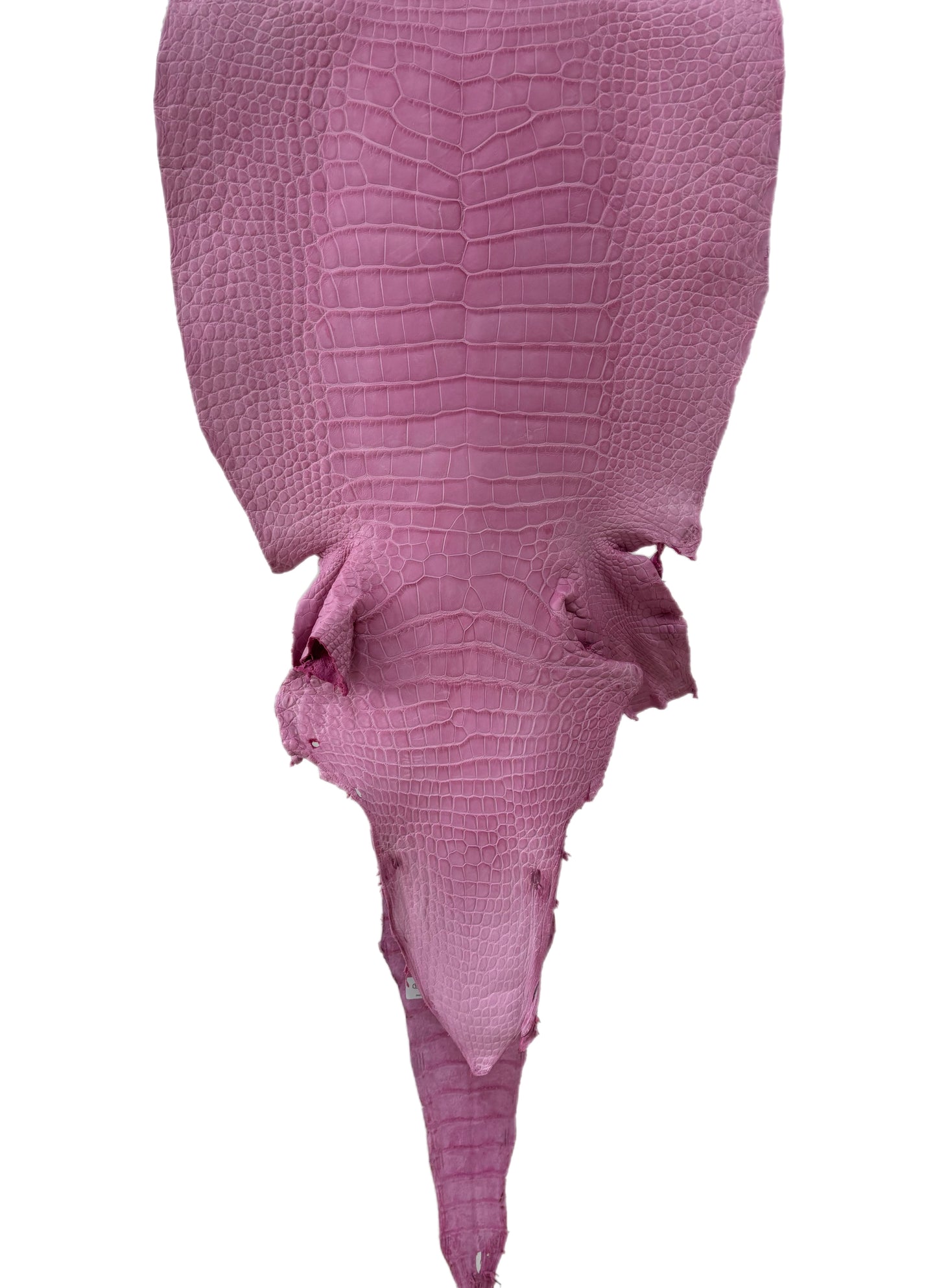 39 cm Grade 2/3 Cotton Candy Matte Wild American Alligator Leather - Tag: LA23-0030894