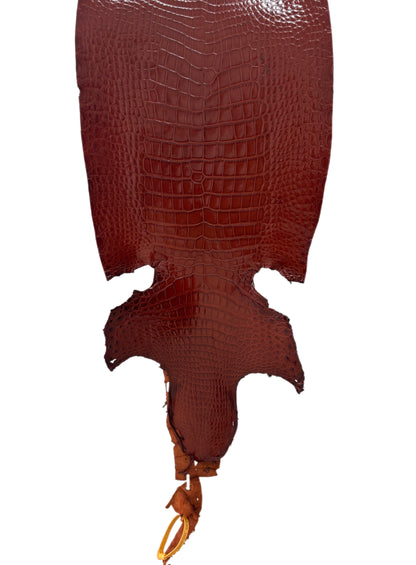 32 cm Grade 2/3 Peanut Millennium Wild American Alligator Leather - Tag: LA23-0033868