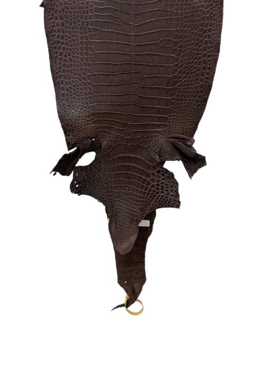 30 cm Grade 3/4 Chocolate Matte Farm-Raised American Alligator Leather - Tag: FL17-0036052