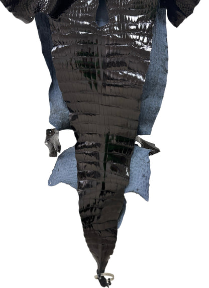 40 cm Grade 1/2 Black Glazed Wild American Alligator Leather - Tag: LA23-0007164